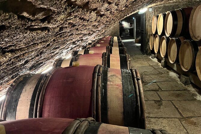 Burgundy Grand Crus Route Day Tour - 14 Wines Tastings in Domains - The Burgundy Grand Cru Route: why it works as a day plan