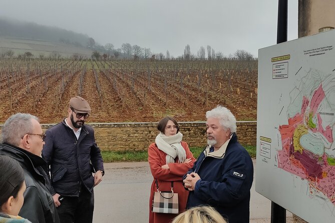 Burgundy Grand Crus Route Day Tour - 14 Wines Tastings in Domains - Divine Bourgogne Tours: the first domain tasting in Beaune