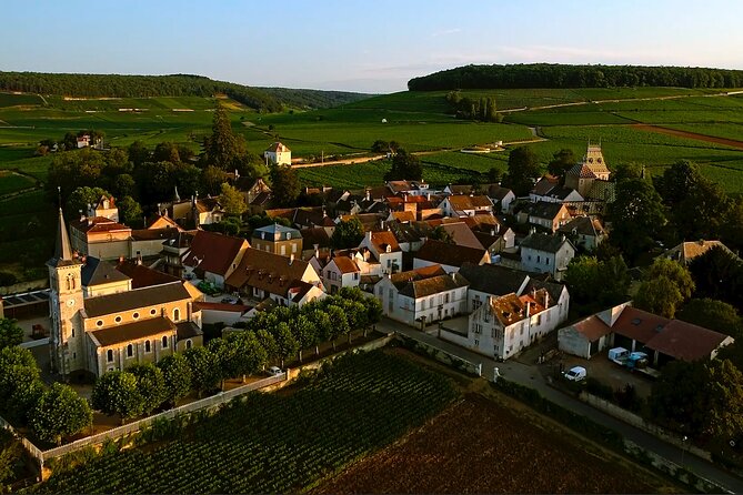 Burgundy Grand Crus Route Day Tour - 14 Wines Tastings in Domains - Route des Grands Crus drive: villages, prestige, and picture-perfect context