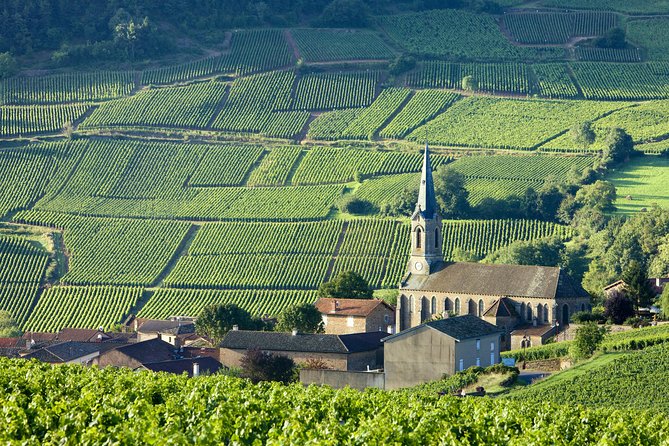 Burgundy Wine Tasting Small-Group Tour in Chablis from Paris - A One-Day Chablis Plan That Starts Early in Paris