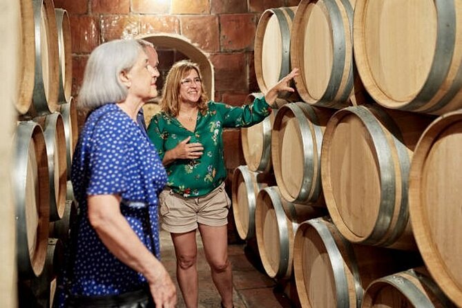 Burgundy wine tour - Private tour with professional tour guide ! - Following Burgundy’s vineyard roads