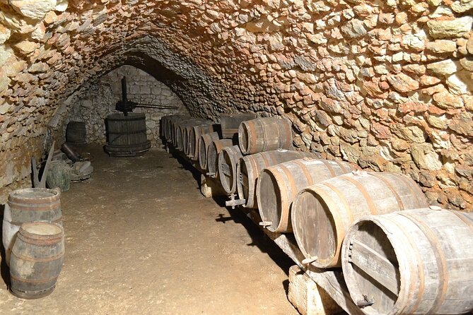 Burgundy wine tour - Private tour with professional tour guide ! - Private tastings at selected wine domains