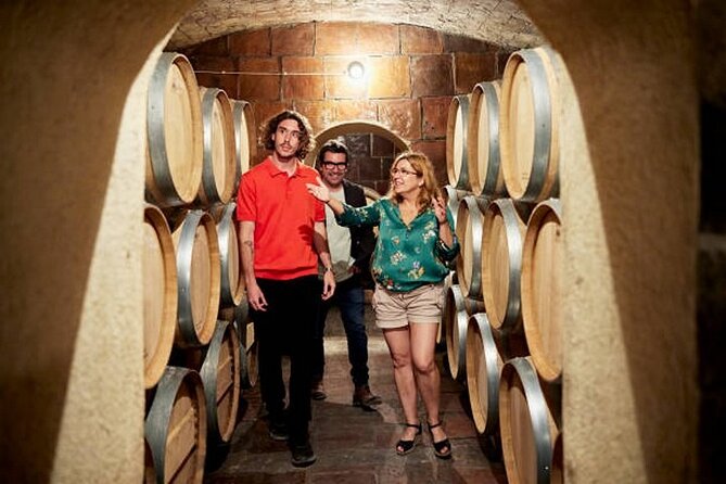 Burgundy wine tour - Private tour with professional tour guide ! - A guided look at Dijon
