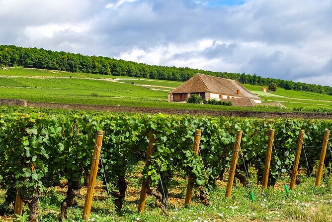 Burgundy wine tour - Private tour with professional tour guide ! - What the $637.24 price really buys