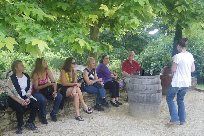 Burgundy wine tour - Private tour with professional tour guide ! - Who will get the most from this tour