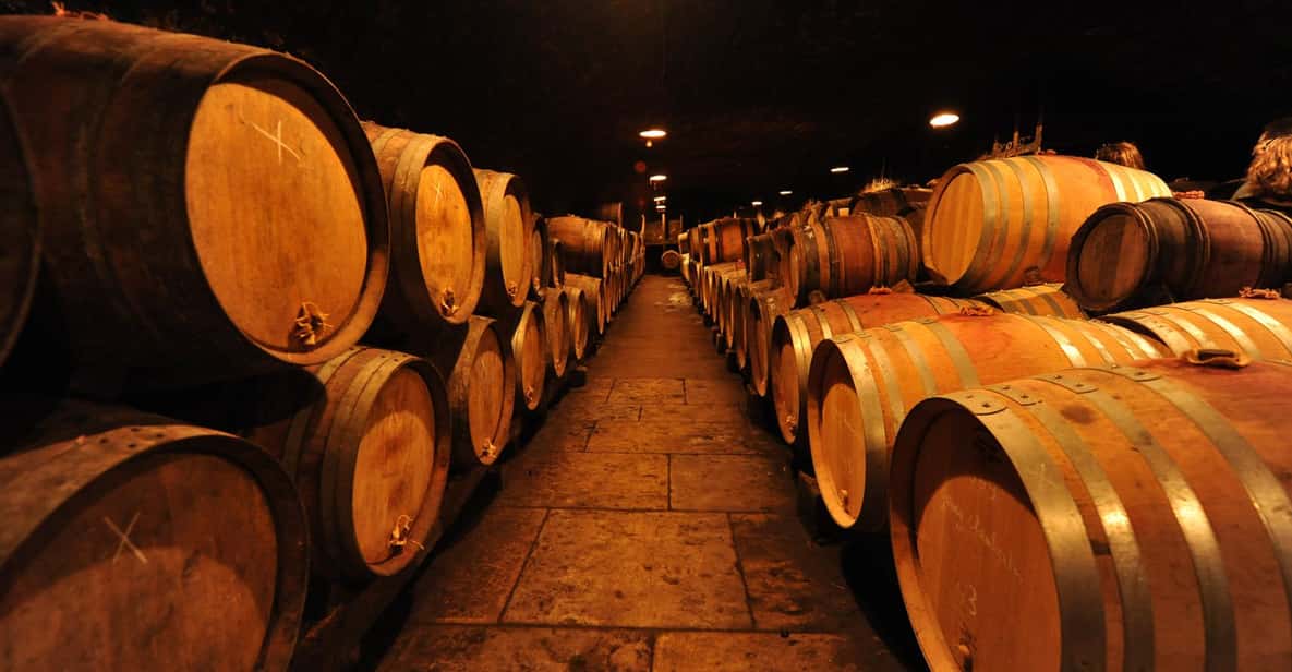 Burgundy Wines Full-Day Tasting Tour from Dijon - Key things I’d plan around