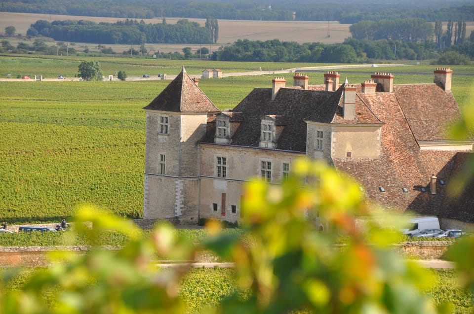 Burgundy Wines Full-Day Tasting Tour from Dijon - Meeting in Dijon: Maison Divia, the 9:45 start, and why it matters