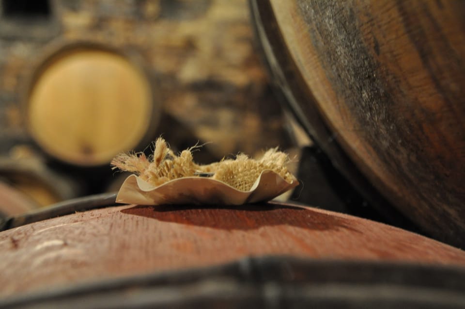 Burgundy Wines Full-Day Tasting Tour from Dijon - Should you book this Burgundy Wines Full-Day Tasting Tour from Dijon?