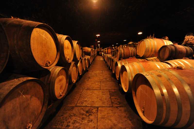 Burgundy Wines Full-Day Tasting Tour from Dijon - Views over Corton and the Côte d’Or feel before the tasting