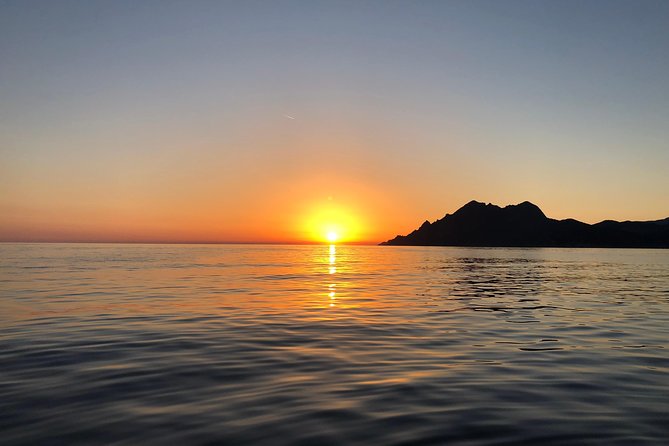 Calanches de Piana and Scandola Reserve cruise with swimming stop - Should you book this Calanches de Piana and Scandola Reserve cruise?