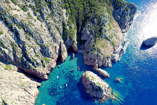 Calanches de Piana cruise from Porto - Dolphins, Cetaceans, and Wildlife: How to Make the Most of It