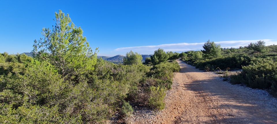 Calanques National Park: E-Mountain Bike with Virtual Guide - Time on the Bike: 4 to 8 Hours and How to Plan Your Day