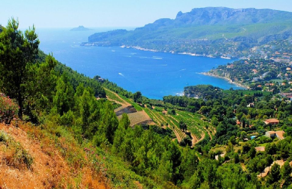 Calanques of Cassis, Aix-en-Provence & Wine Tasting Day Tour - Key points to know before booking