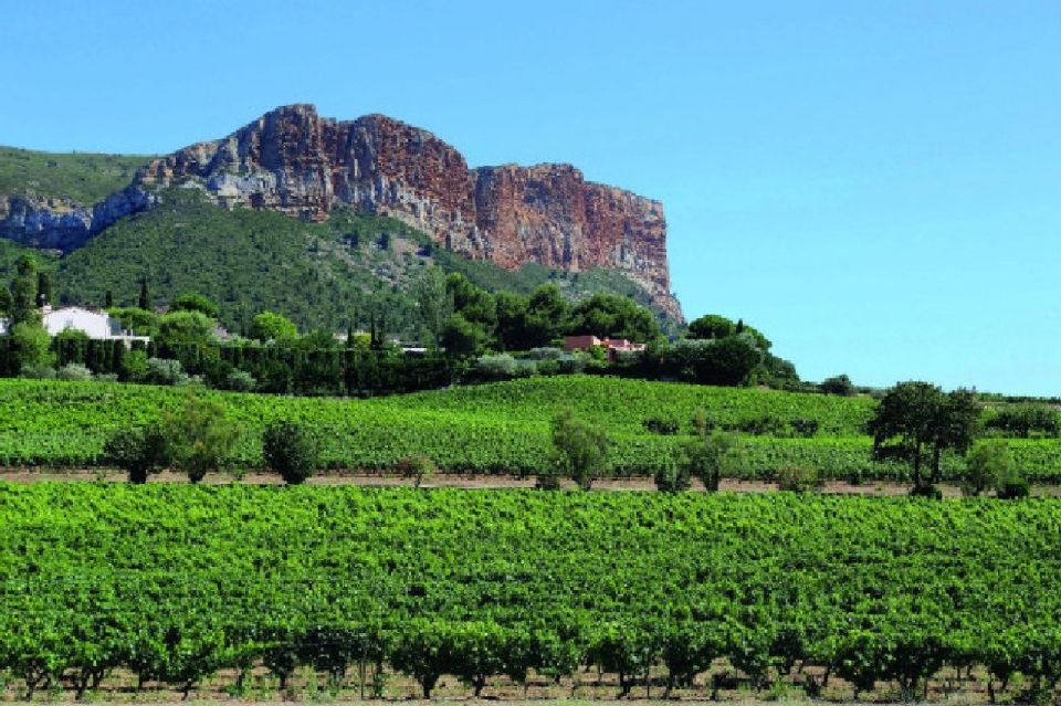 Calanques of Cassis, Aix-en-Provence & Wine Tasting Day Tour - The road to Cassis and the Mediterranean coast