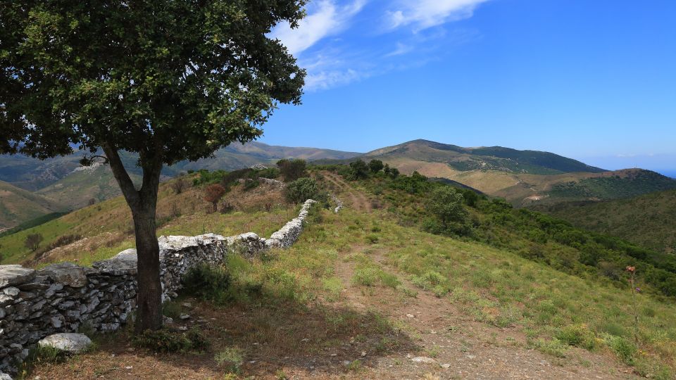 Calvi: Asco Valley 4x4 Day Tour with Guide - Corsica’s Asco Valley: What makes this day feel worth it