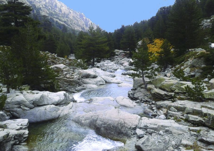 Calvi: Asco Valley 4x4 Day Tour with Guide - The Asco Valley river swim: the part you’ll remember