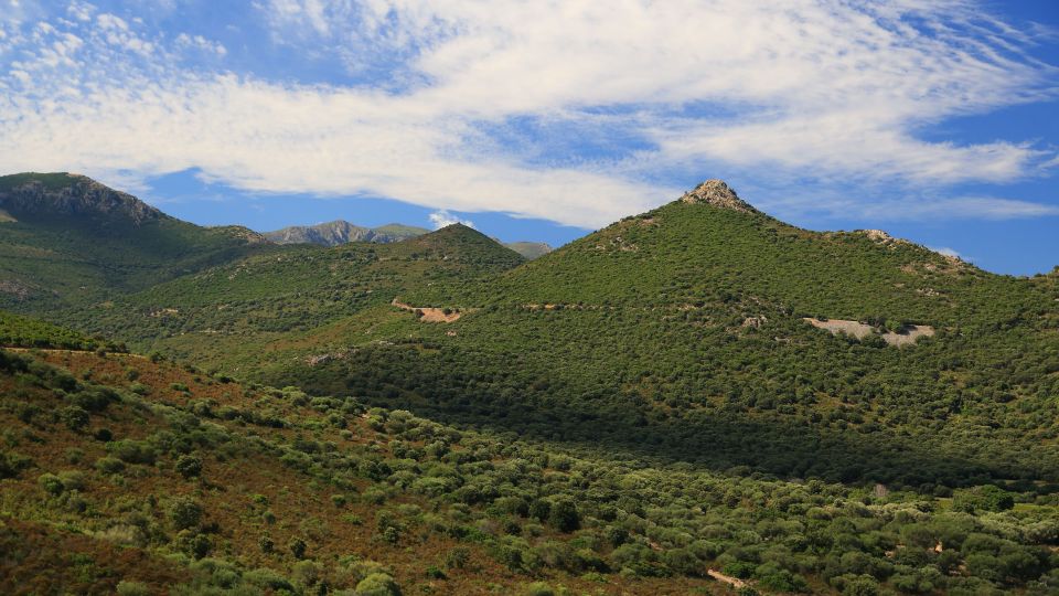 Calvi: Asco Valley 4x4 Day Tour with Guide - Stop quality: what you’re doing during that relaxation time