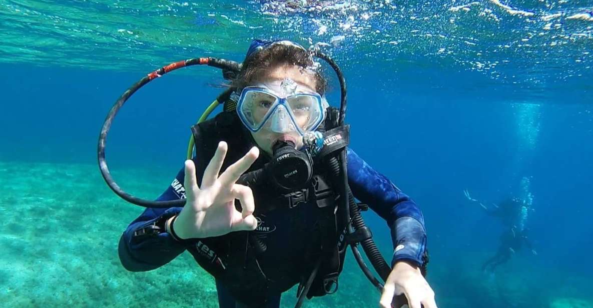 Calvi: Introduction to Diving Dive with an Instructor - Key highlights worth knowing before you go