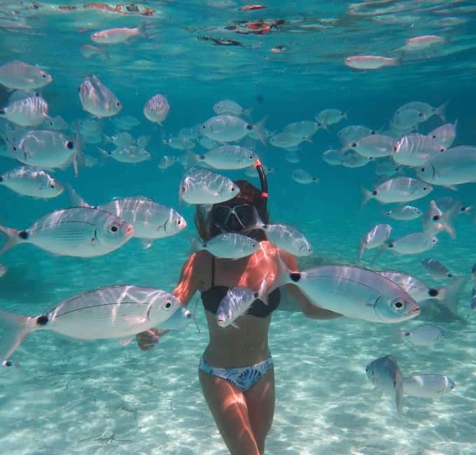 Calvi : Sortie snorkeling en bateau en bordure de réserve - Natural Reserve Snorkeling: What You Can Expect to See