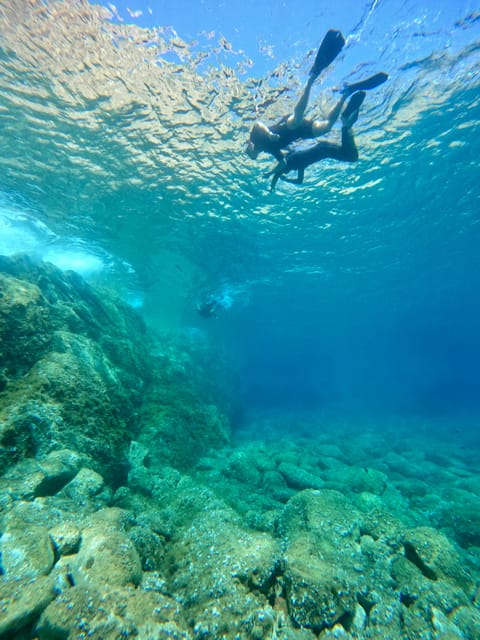 Calvi : Sortie snorkeling en bateau en bordure de réserve - Guides, Safety, and First-Timer Comfort (Plus the Language Factor)