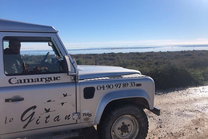 Camargue 4x4 Safari 2 hours Saintes Maries de la Mer - Your Guide Is the Real Value (From Luca to Francis to Paul)