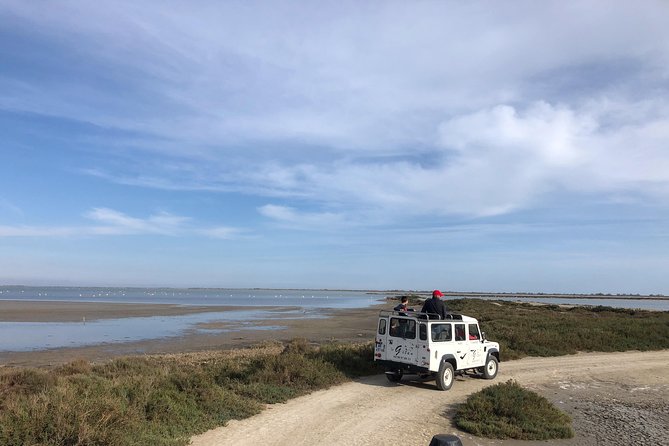Camargue 4x4 Safari 2 hours Saintes Maries de la Mer - Black Bulls and White Horses: Great in Theory, Tricky in a Short Trip