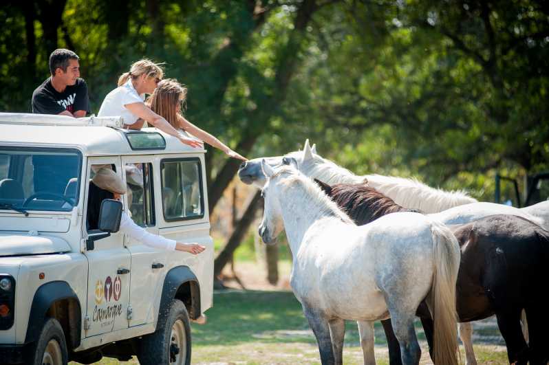 Camargue: Half-Day 4x4 Guided Safari Adventure - Key points to know before you go