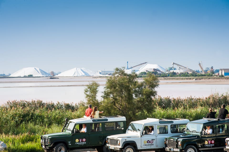 Camargue: Half-Day 4x4 Guided Safari Adventure - Who this is best for (and who should skip it)