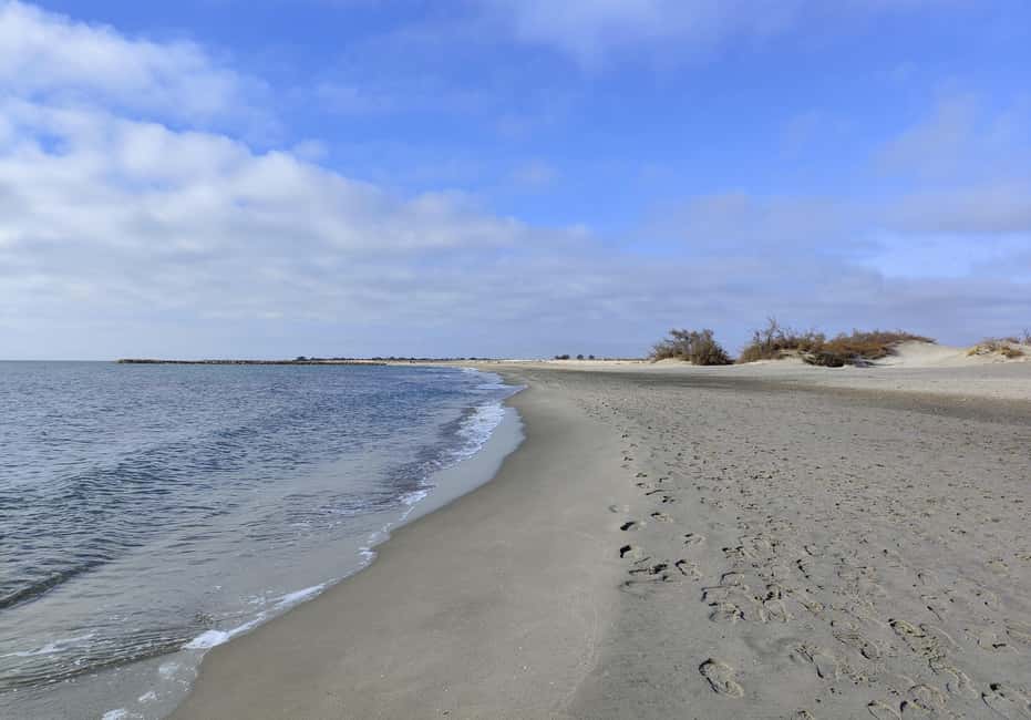 Camargue, its secrets and its magic: an exclusive tour - Key points at a glance