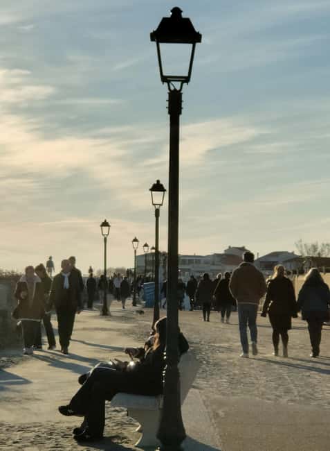 Camargue, its secrets and its magic: an exclusive tour - A Camargue tour built around your interests
