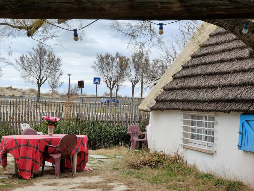 Camargue, its secrets and its magic: an exclusive tour - Flamingos and the wild side of the Camargue