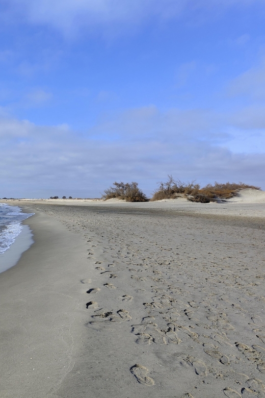 Camargue, its secrets and its magic: an exclusive tour - Paddling on the Petit Rhône