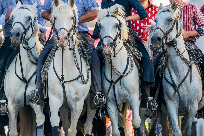 Camargue Small-Group Day Trip from Avignon - Camargue in One Day: what this route feels like