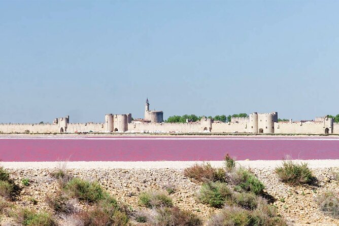 Camargue Small-Group Day Trip from Avignon - What to pack and how to make the day smoother