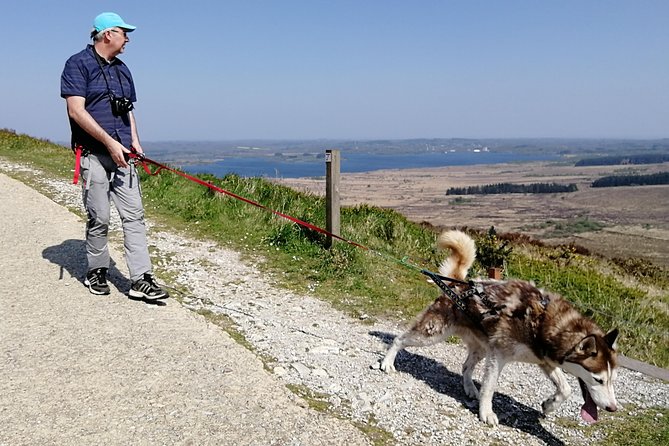 Cani Rando, fun and original hiking, pulled by huskies - What three hours feels like on the trail