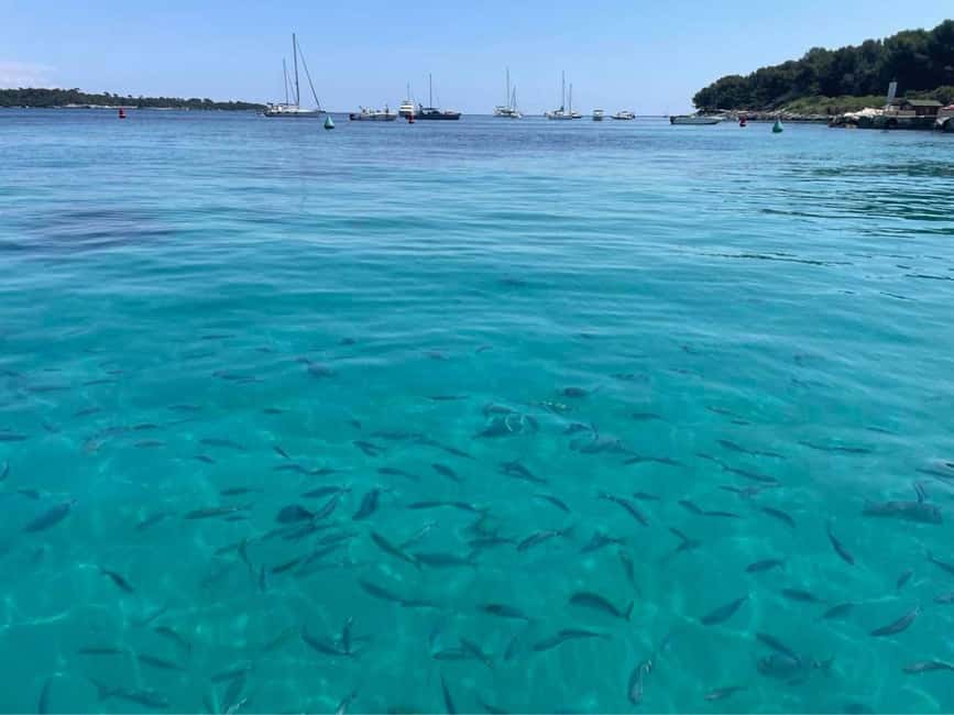 Cannes: Boat trip without a license to the Lerins Islands - Should You Book the Lérins Islands Boat Trip?
