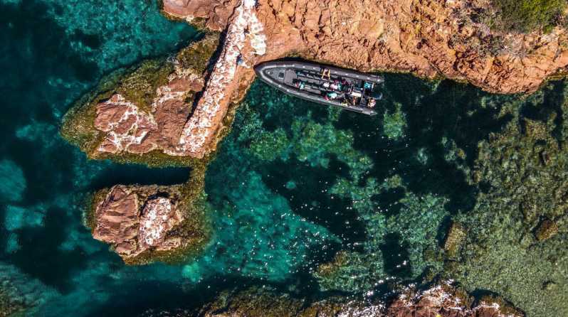 Cannes: Estérel Massif Boat Excursion - Key things to know before you go