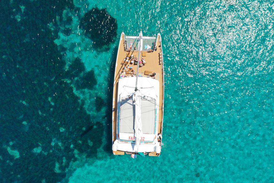 Cannes: Half-Day Catamaran Cruise - From Cannes Old Port to Ste Marguerite: the easy start that sets the tone
