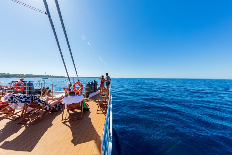 Cannes: Half-Day Catamaran Cruise with Lunch - Boarding in Cannes: where you go and what to bring