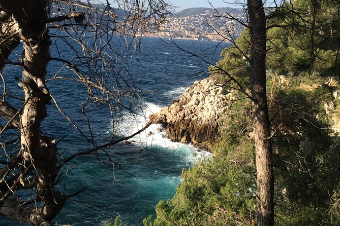 Cannes Large Group Shore Excursion with a Minibus 15 seater - What the driver-guide adds