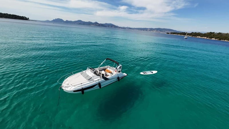 Cannes: Lérins Islands Private Boat Tour - Saint-Honorat Island: a shore hour that slows the pace