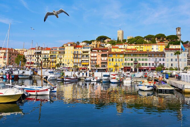 Cannes Private Tour: Film Festival, Secrets & Stunning views - The Film Festival Palace finish