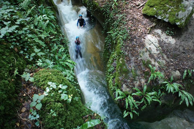 Canyoning discovery 3h in Aix les bains / Chambéry: Ternèze - The Flow Inside the Canyon: jumps and slides, with a discovery focus