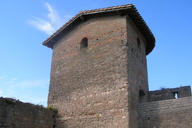 Carcassonne Half DayTour from Toulouse - Key points to know before booking