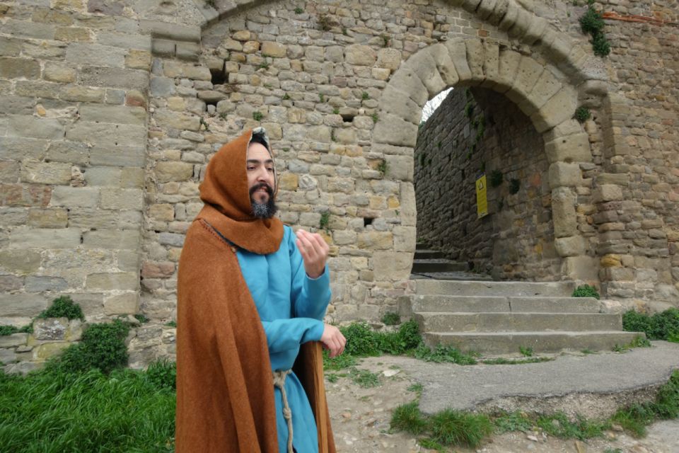 Carcassonne: Medieval Builder-Themed City Tour with a Guide - Moat of the Comtal Castle and the Catharism thread