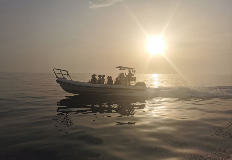 Cargèse: Calanques of Piana Capo Rosso Semi-Rigid Boat Tour - Should you book the Cargèse to Capo Rosso and Piana calanques RIB tour?