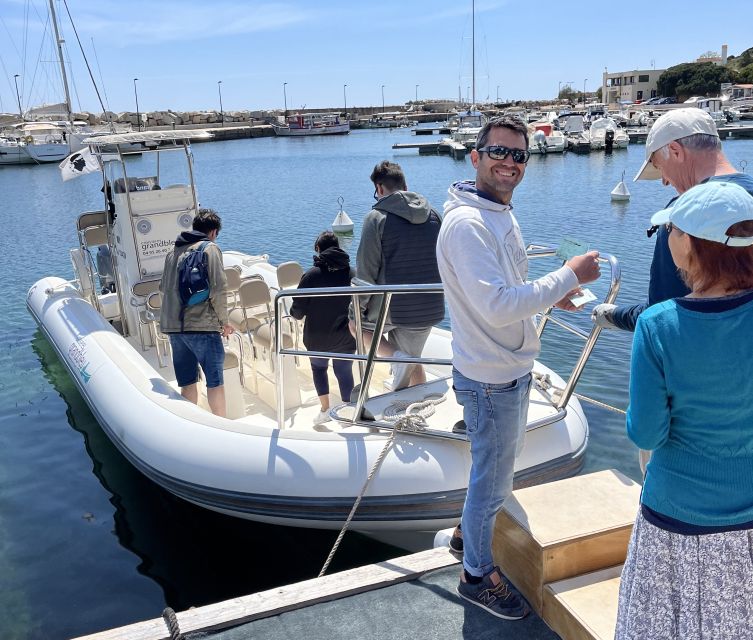 Cargèse: Calanques of Piana Capo Rosso Semi-Rigid Boat Tour - Capo Rosso in a 12-seat RIB: red granite coves and wildlife notes