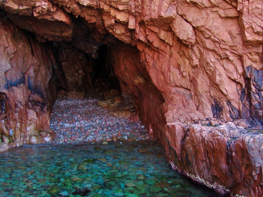 Cargèse: Calanques of Piana Capo Rosso Semi-Rigid Boat Tour - Who should book this RIB tour, and who should skip it