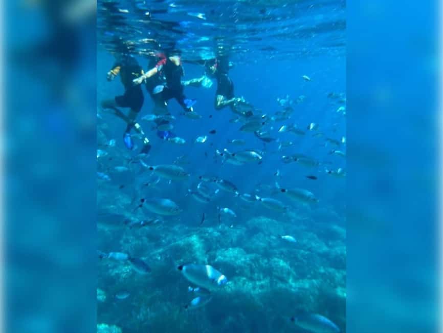 Cargèse: Capo Rosso "Snorkeling" and Sea Cave Tour - The second stop and the underwater cascades