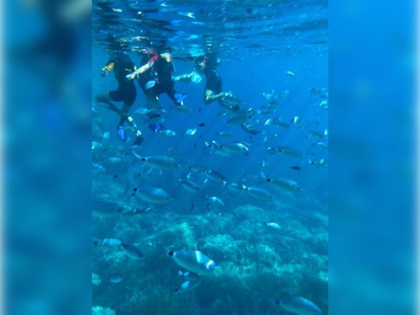 Cargèse: Capo Rosso "Snorkeling" and Sea Cave Tour - Is $94 a fair price?